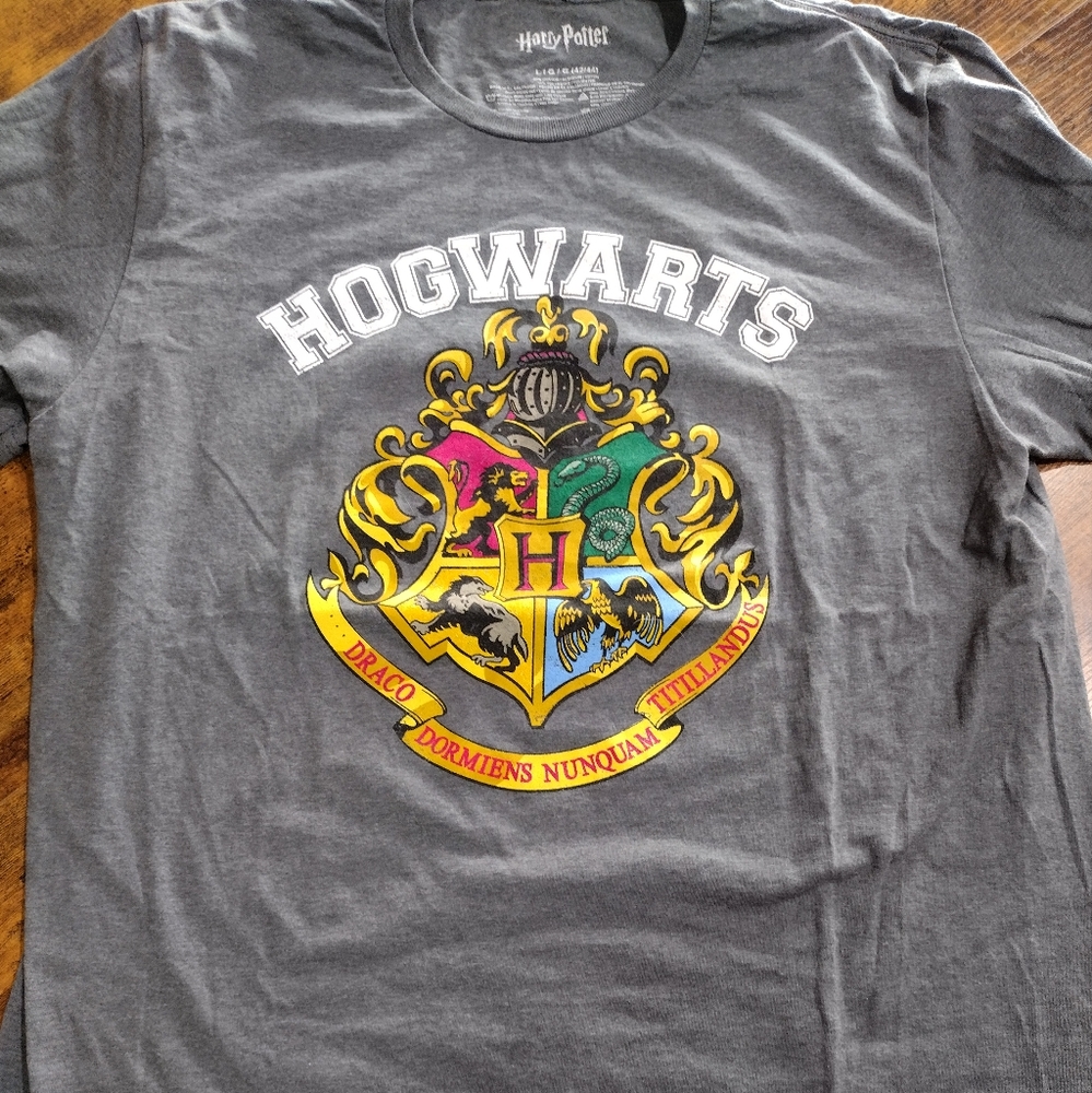 Harry Potter Hogwarts T Shirt Mens Size Large - DRACO DORMIENS NUNQUAM